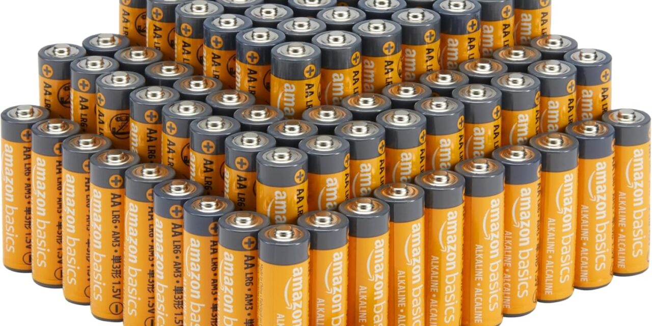 Alles über Batterien: Auswahl & Pflegetipps